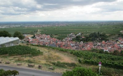 Sankt Martin (Pfalz) Treffen 2019 – Bilder für Mitglieder